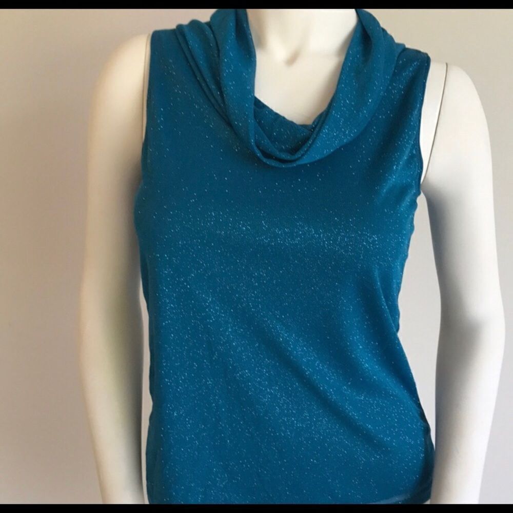 Sparkling Dress Barn Blue Top Size Small Petite